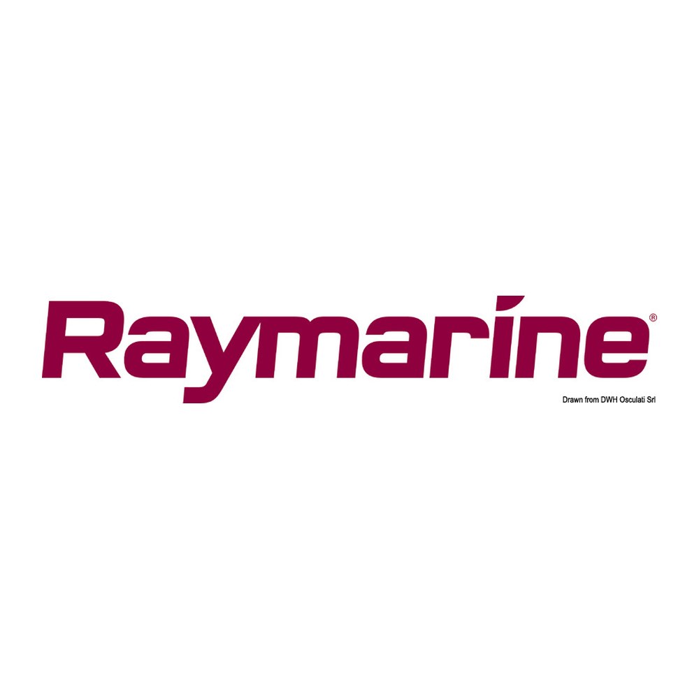 RAYMARINE Triducer thru-hull plastic transducer (DST800-analogue)) - foto originale Osculati Srl