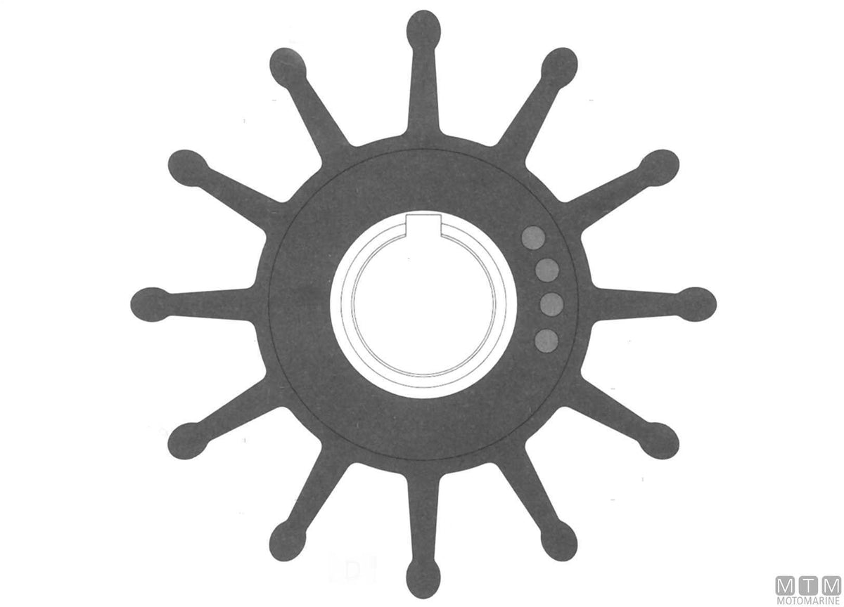 Impeller Johnson 09-702B-1 - original photo Motomarine Srl