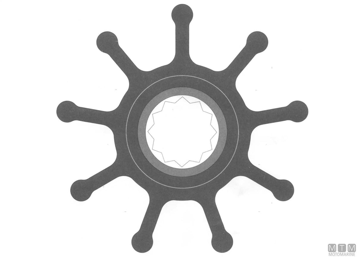Impeller Johnson 09-802B - original photo Motomarine Srl