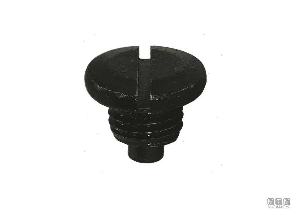MTM oil drain screw ref. Suzuki 55128-93L00 - original photo Motomarine Srl