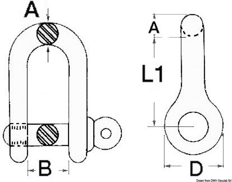 Shackle made of stainless steel AISI 316 10 mm (pack of 10) - foto originale Osculati Srl