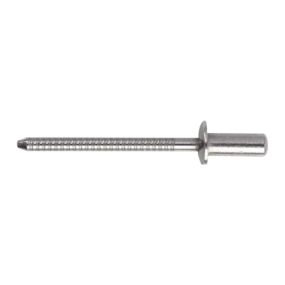SS stud standard head 4 x 12mm - 1000 pcs/box (pack of 1000) - foto originale Osculati Srl