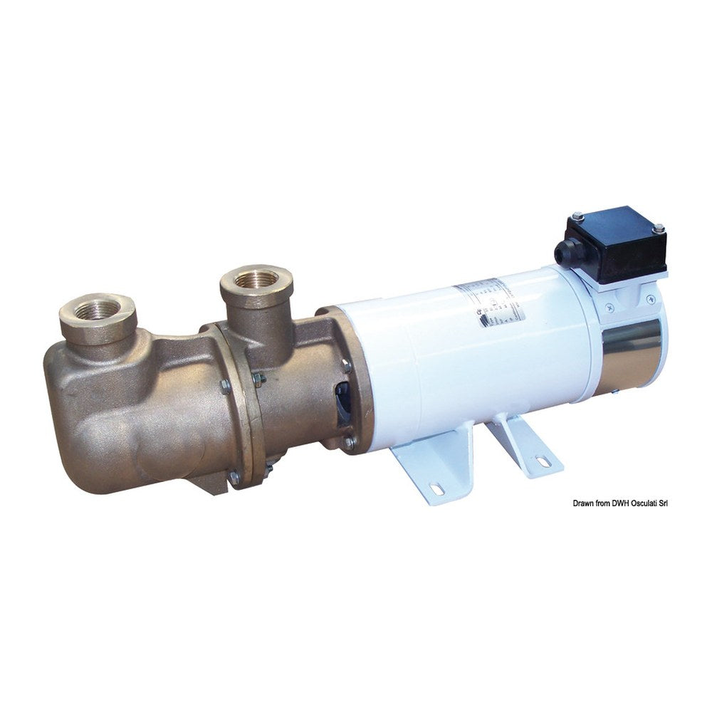 CEM Sbr self-priming electric pump bronze screw 24V - foto originale Osculati Srl