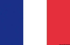 Flag France 50 x 75 cm - foto originale Osculati Srl