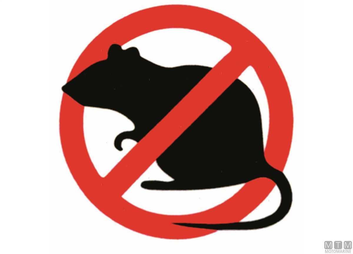 Rat guard disc Ø10<>30 mm - original photo Motomarine Srl