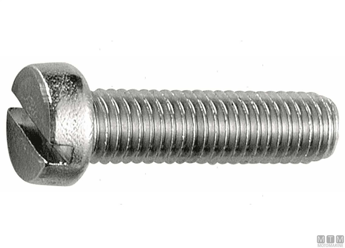DIN84 A2 stainless steel cheese head screws M5x40, 50 pcs - original photo Motomarine Srl