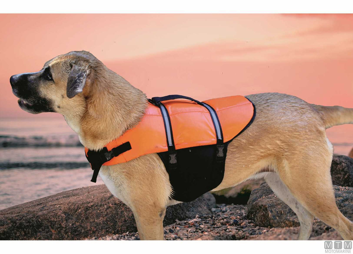 Life jacket for pets M - original photo Motomarine Srl