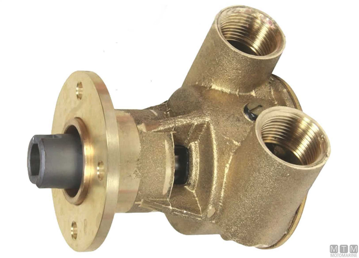 Johnson F5B-9002 cooling pump - original photo Motomarine Srl