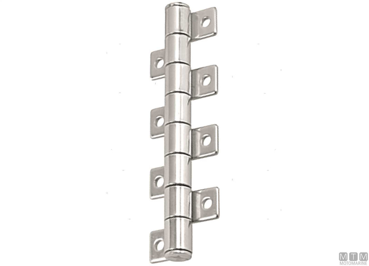 MATEC centipede friction hinge 51x28.5 mm in stainless steel 316 - original photo Motomarine Srl