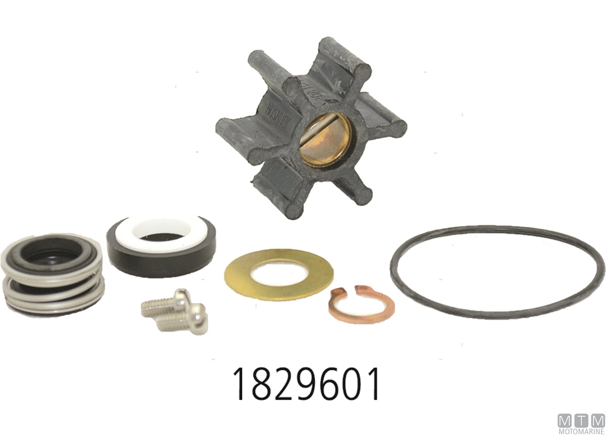 Service kit Johnson F35B-8 - original photo Motomarine Srl