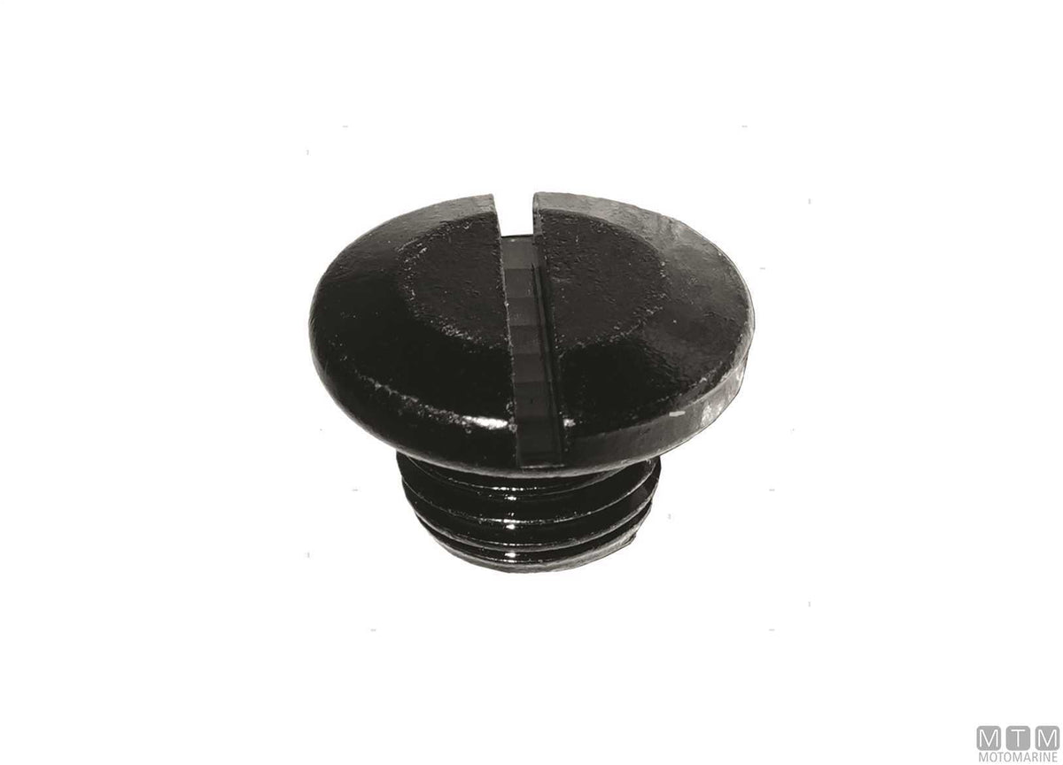 MTM oil drain screw ref. Suzuki 09248-10008 - original photo Motomarine Srl
