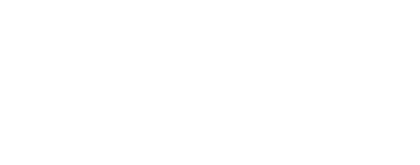 Bolina